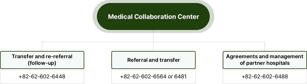 Medical Collaboration Center : Transfer and re-referral (follow-up) +82-62-602-6448 / Referral and transfer +82-62-602-6564 or 6481 / Agreements and management of partner hospitals +82-62-602-6488