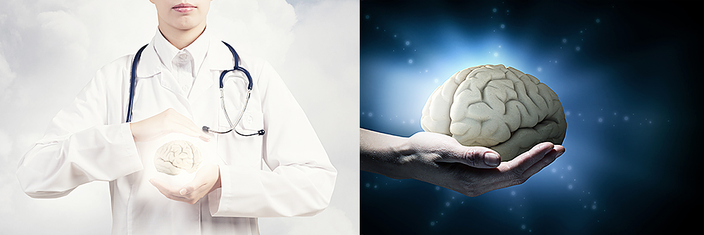 Brain Science Research Team images