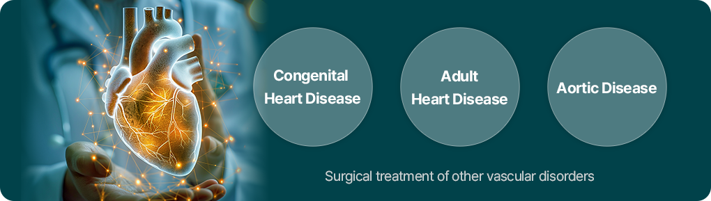 Congenital Heart Disease, Adult Heart Disease, Aortic Disease / Surgical treatment of other vascular disorders