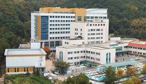 VHS Daegu  Center