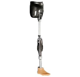 엉덩이관절의지 이미지