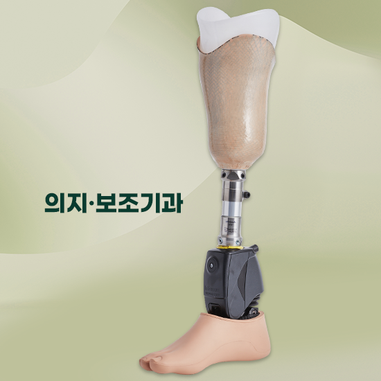 의지 보조기과